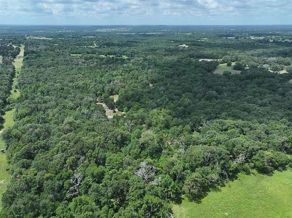 33.8 Acres of Recreational Land for Sale in Fairfield, Texas