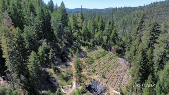 7.9 Acres of Residential Land for Sale in Hayfork, California