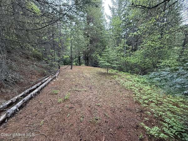 5.2 Acres of Land for Sale in Fernwood, Idaho