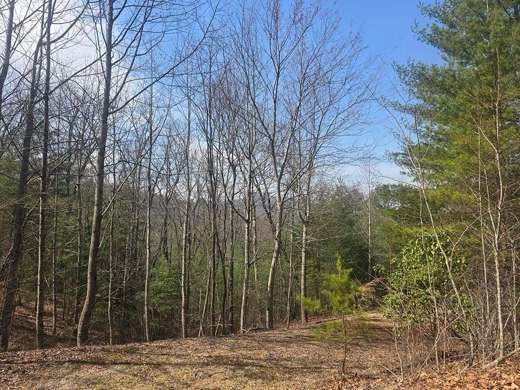 3.21 Acres of Land for Sale in Blairsville, Georgia