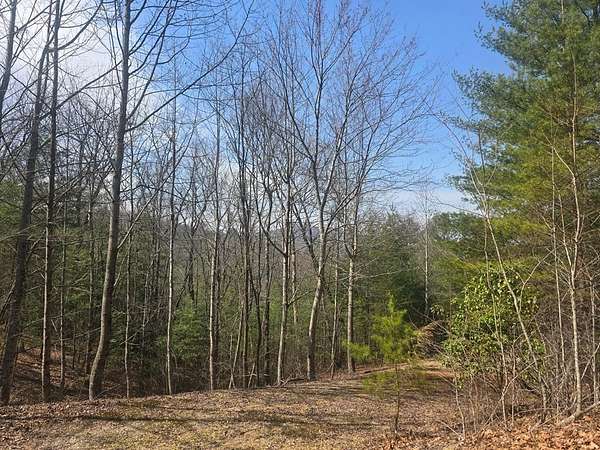Land for Sale in Blairsville, Georgia