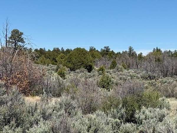2 Acres of Land for Sale in Tres Piedras, New Mexico