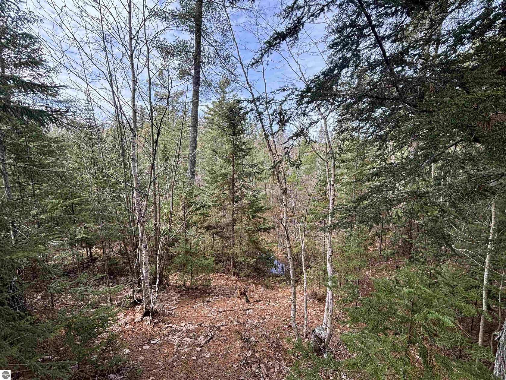 280 Acres of Recreational Land for Sale in Rudyard, Michigan