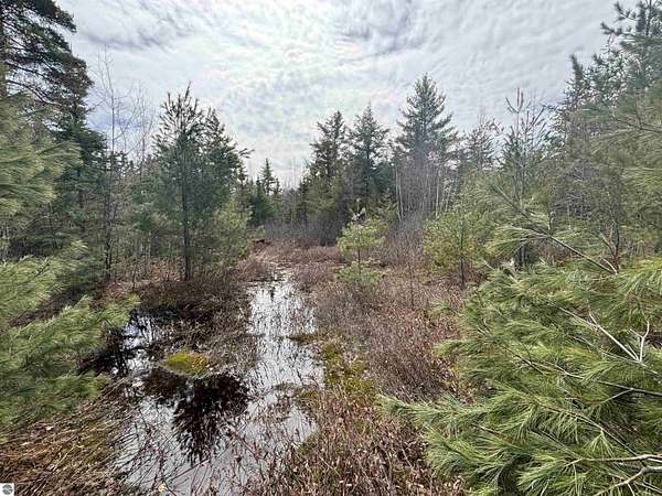 280 Acres of Recreational Land for Sale in Rudyard, Michigan