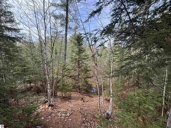 280 Acres of Recreational Land for Sale in Rudyard, Michigan