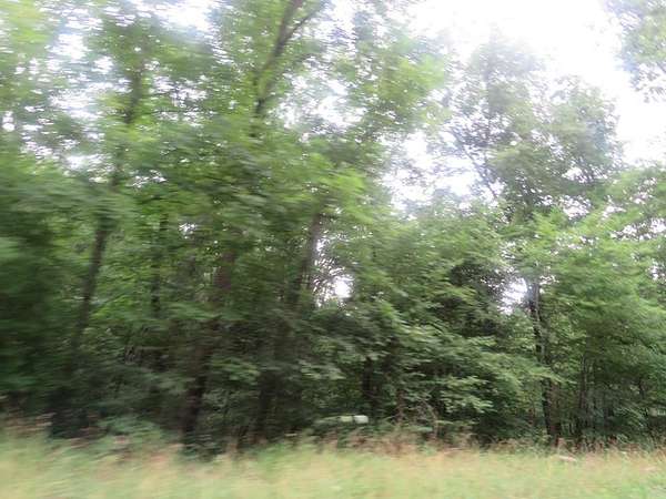 166 Acres of Land for Sale in Flatgap, Kentucky