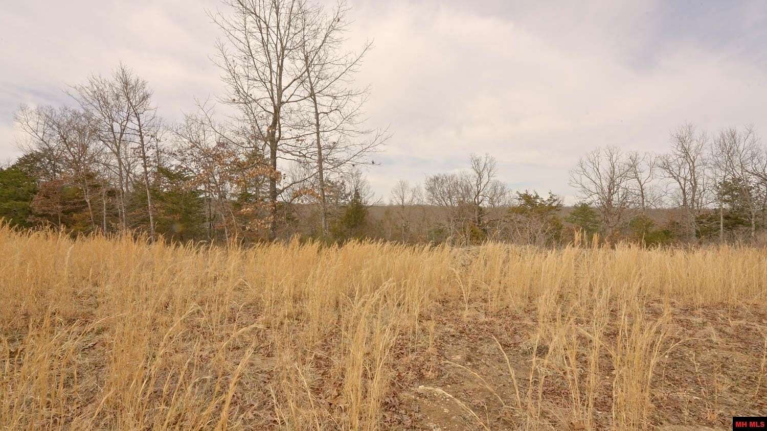 13.9 Acres of Land for Sale in Gepp, Arkansas