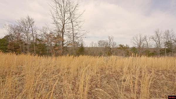 13.9 Acres of Land for Sale in Gepp, Arkansas