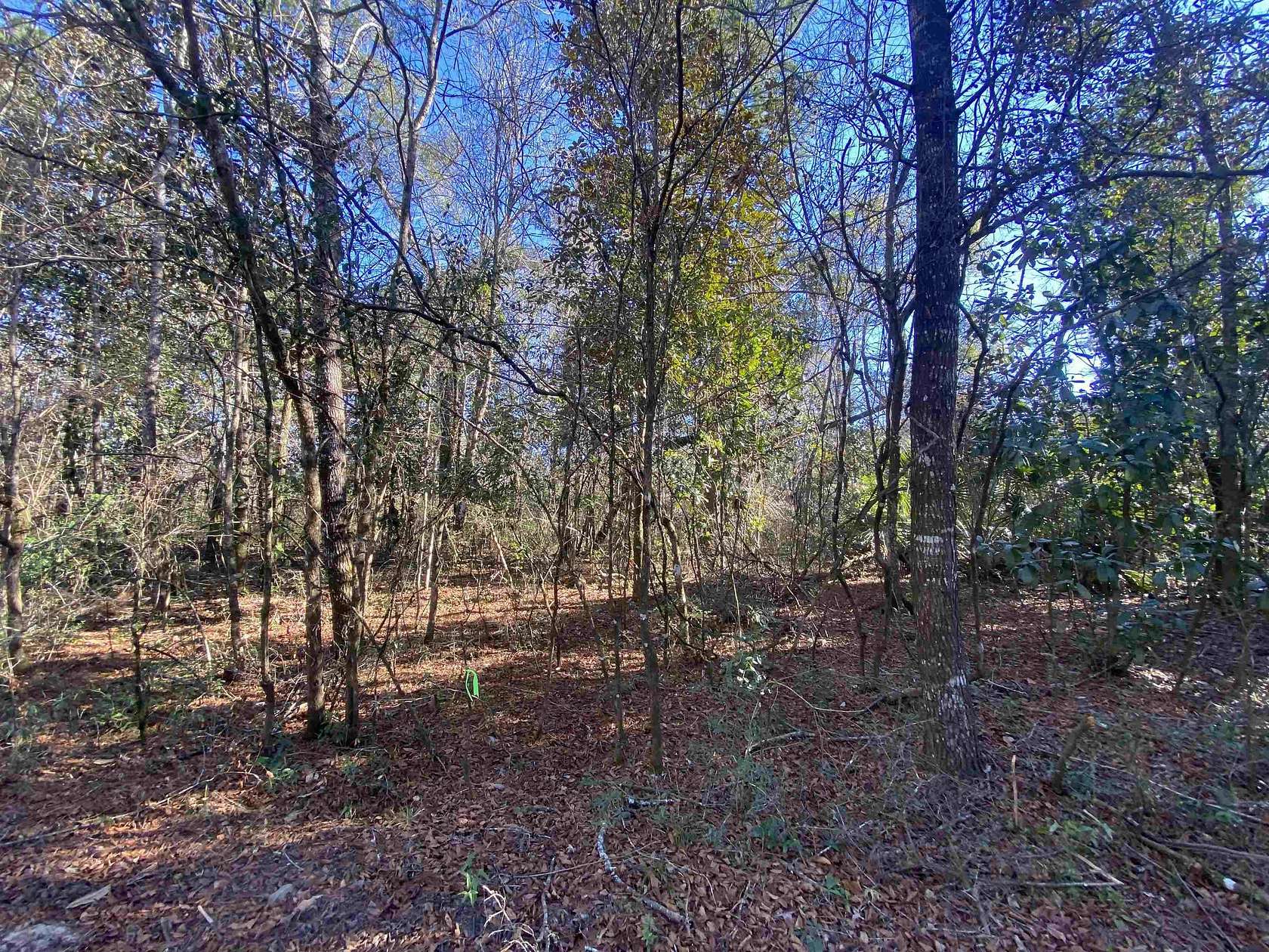 4.36 Acres of Residential Land for Sale in Crawfordville, Florida