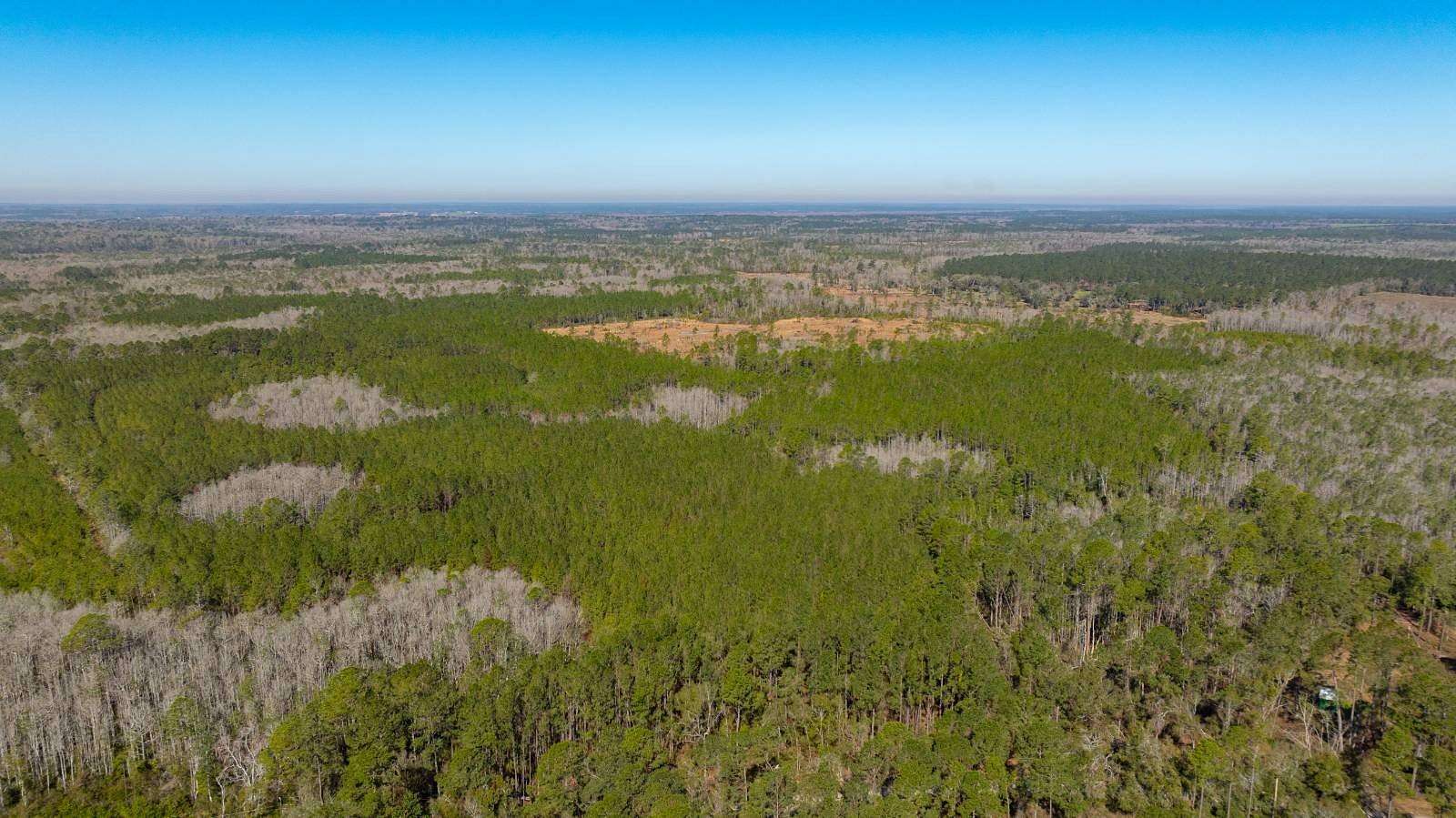200 Acres of Recreational Land for Sale in Greenville, Florida