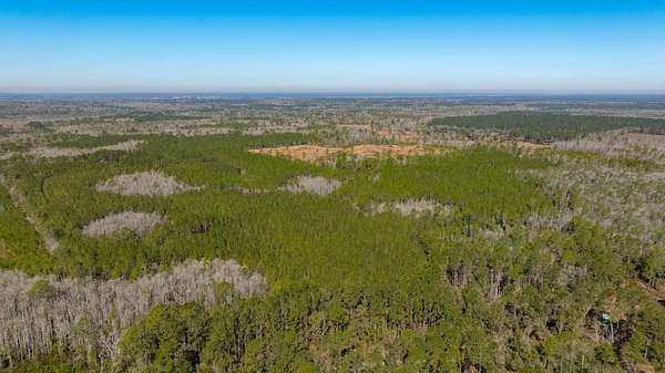 200 Acres of Recreational Land for Sale in Greenville, Florida