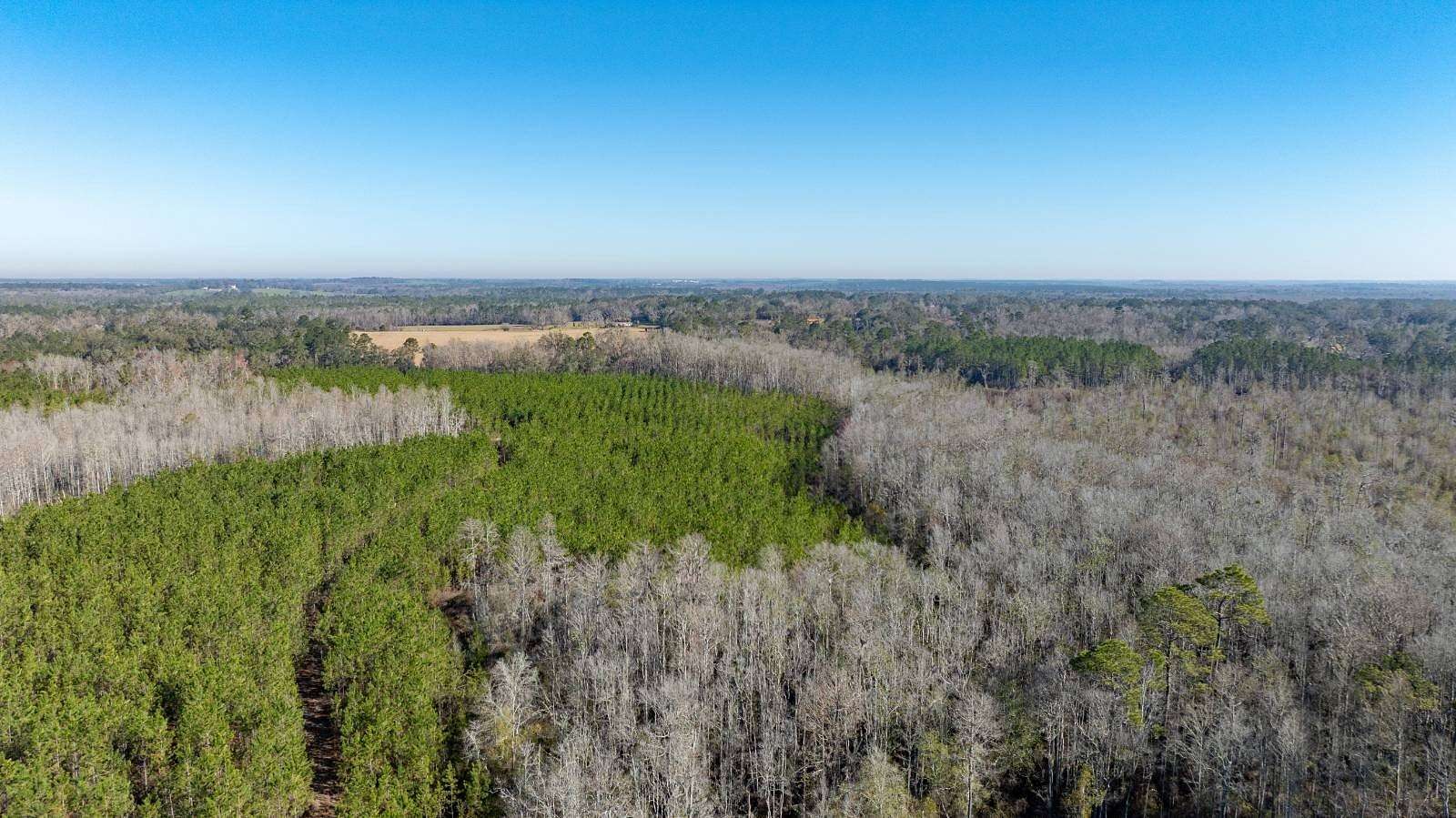 122 Acres of Recreational Land for Sale in Greenville, Florida