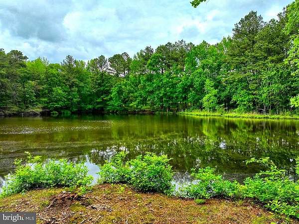55 Acres of Recreational Land for Sale in Seaford, Delaware