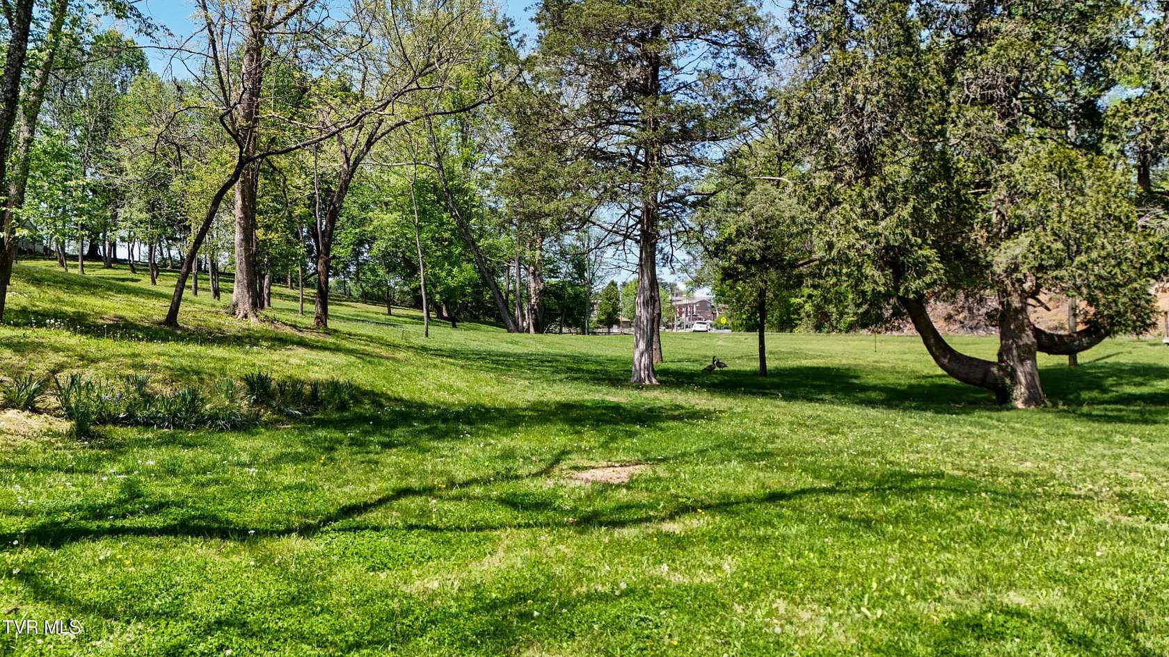 2.9 Acres of Residential Land for Sale in Bristol, Tennessee