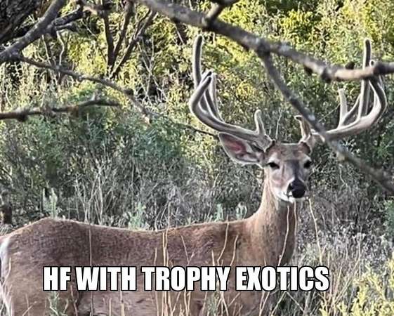 263 Acres of Recreational Land for Sale in Cross Cut, Texas