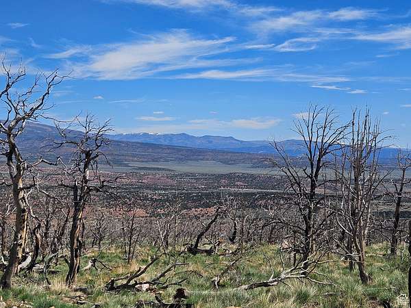 8.88 Acres of Land for Sale in Fruitland, Utah