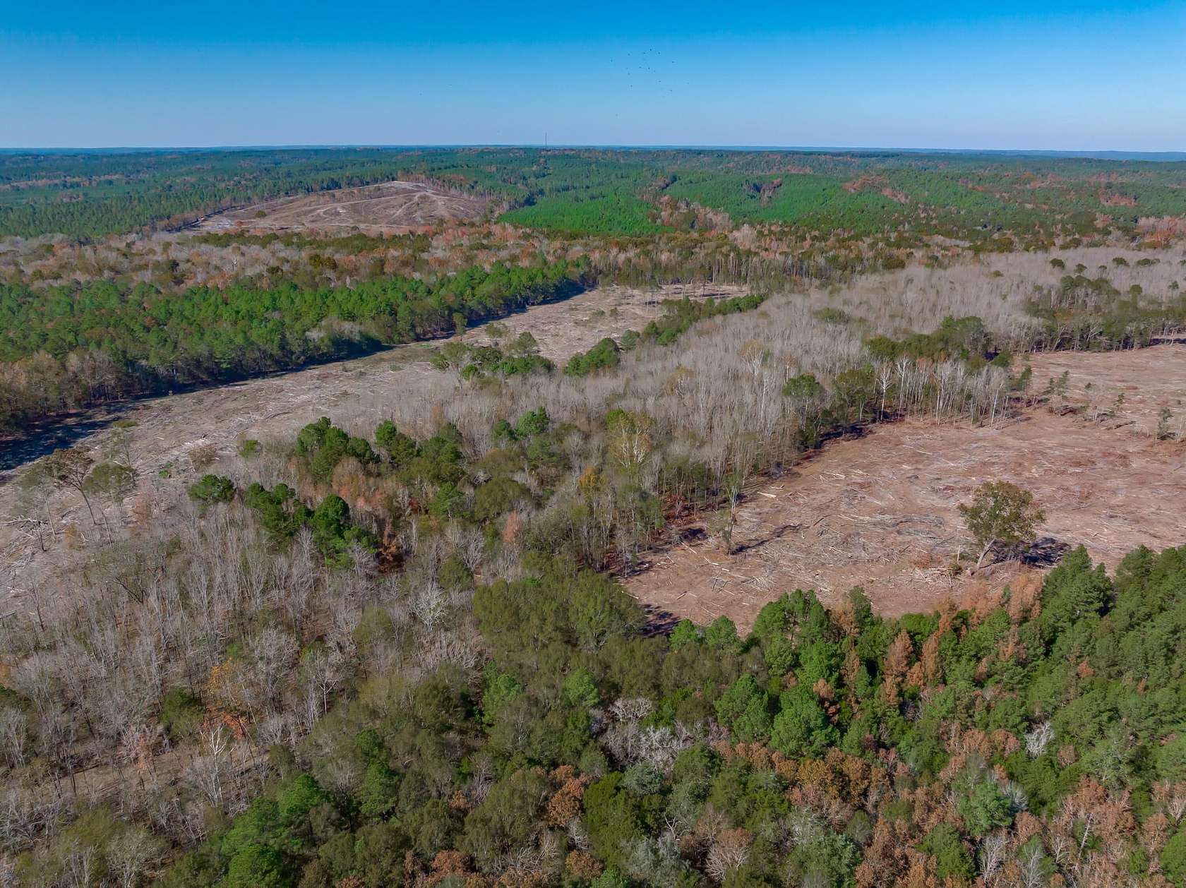 280 Acres of Recreational Land for Sale in Ridgeway, South Carolina