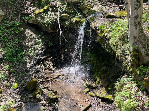 160 Acres of Improved Recreational Land for Sale in Monongahela, Pennsylvania