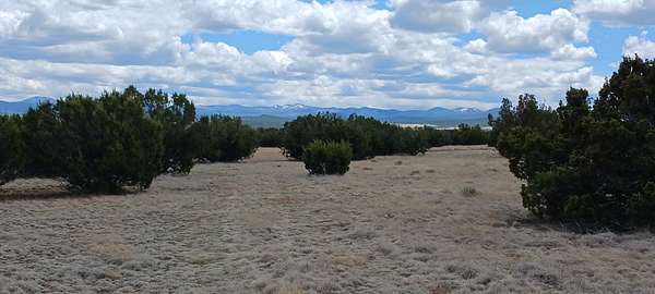 1 Acre of Residential Land for Sale in Show Low, Arizona