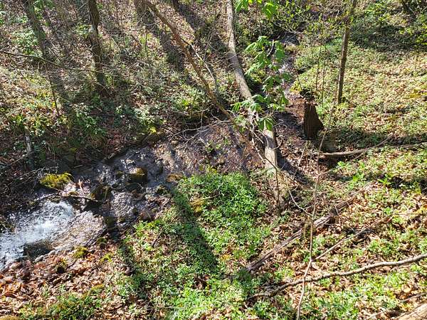 38.6 Acres of Recreational Land for Sale in Cullowhee, North Carolina