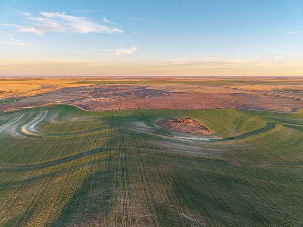 319 Acres of Recreational Land & Farm for Auction in Ellis, Kansas