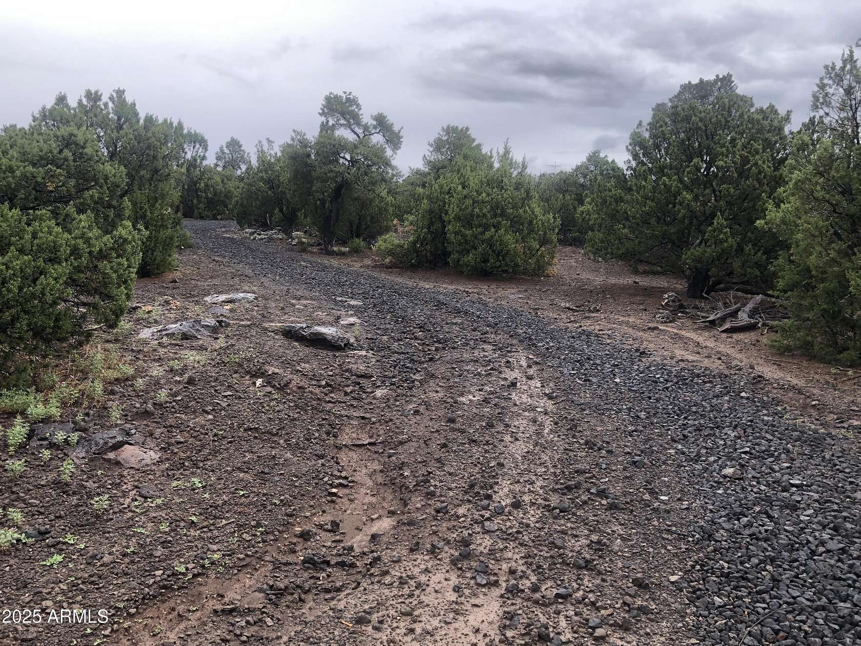 5.16 Acres of Land for Sale in Concho, Arizona