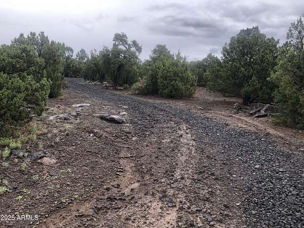 5.16 Acres of Land for Sale in Concho, Arizona