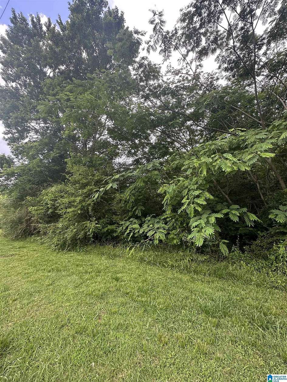 2 Acres of Land for Sale in Bessemer, Alabama