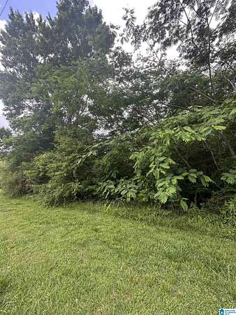 2 Acres of Land for Sale in Bessemer, Alabama