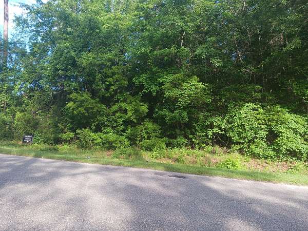 1 Acre of Land for Sale in Walterboro, South Carolina