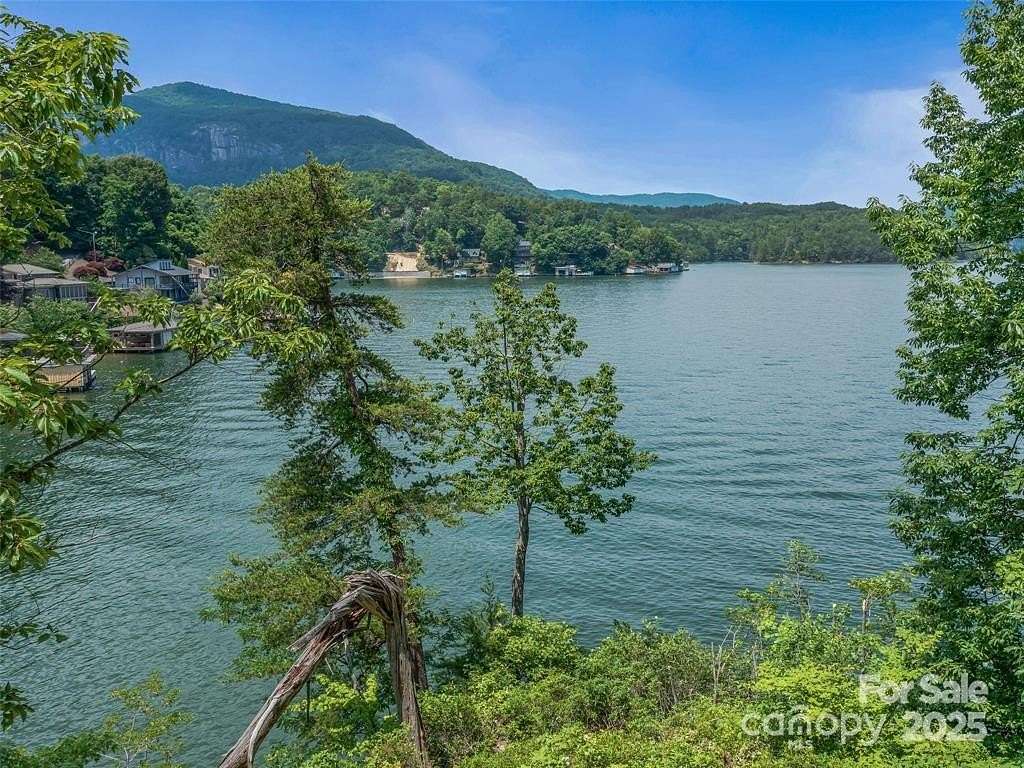 1 Acre of Residential Land for Sale in Lake Lure, North Carolina
