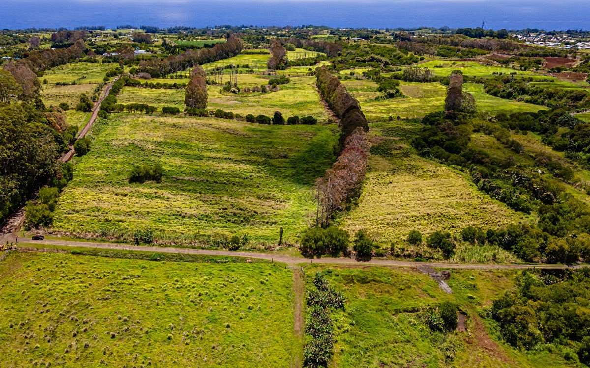 24.2 Acres of Agricultural Land for Sale in Pepeekeo, Hawaii