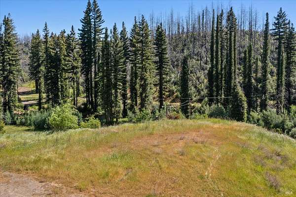 36.7 Acres of Land for Sale in Healdsburg, California