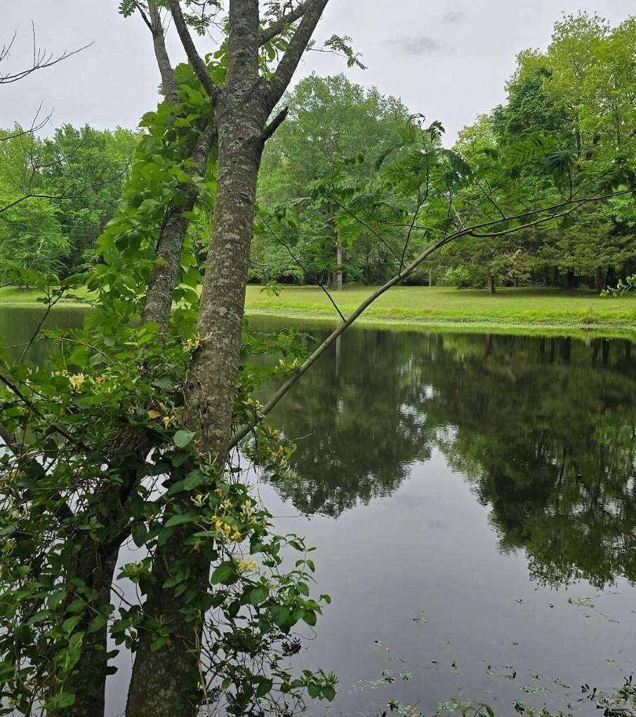 8 Acres of Residential Land with Home for Sale in Broken Bow, Oklahoma