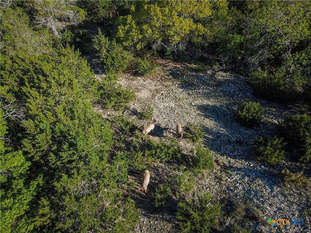 5 Acres of Land for Sale in Pipe Creek, Texas