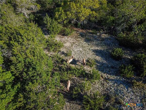 5 Acres of Land for Sale in Pipe Creek, Texas