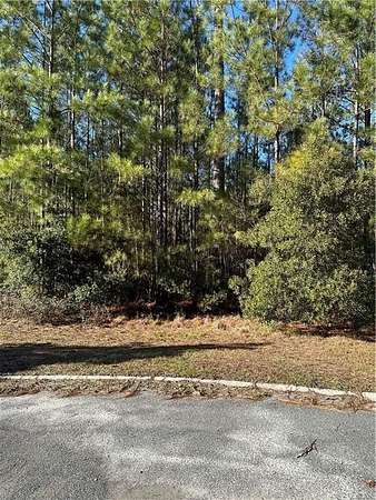 1.2 Acres of Residential Land for Sale in Waynesville, Georgia