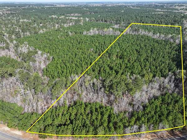 25 Acres of Recreational Land & Farm for Sale in Rodessa, Louisiana