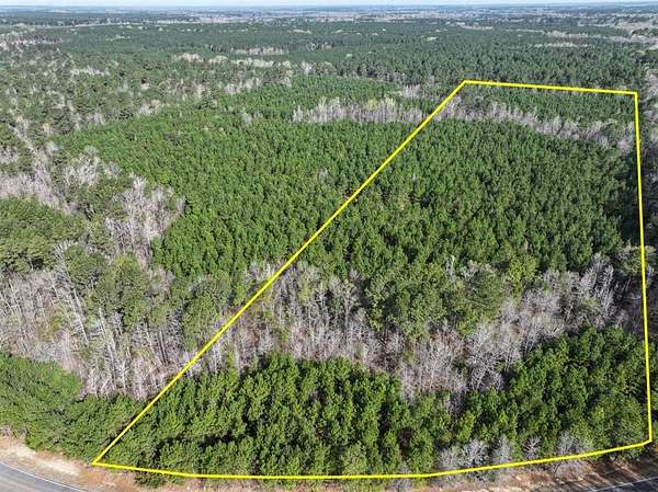 25 Acres of Land for Sale in Rodessa, Louisiana