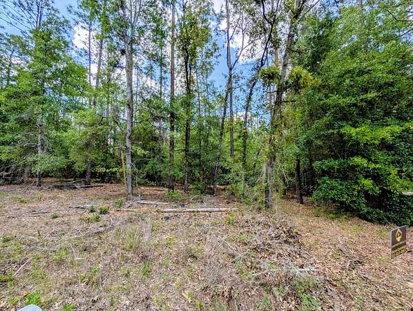 1.29 Acres of Residential Land for Sale in Dunnellon, Florida