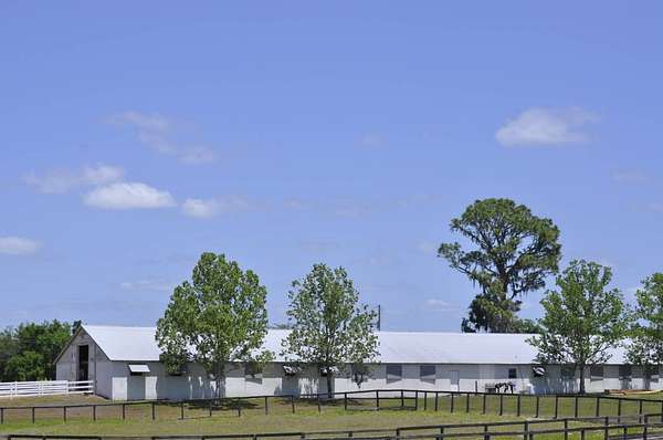 108 Acres of Agricultural Land with Home for Sale in Ocala, Florida