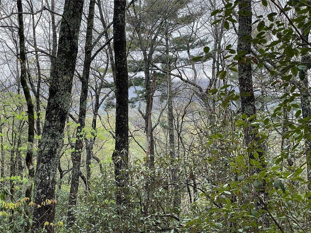 0.7 Acres of Land for Sale in Lake Toxaway, North Carolina