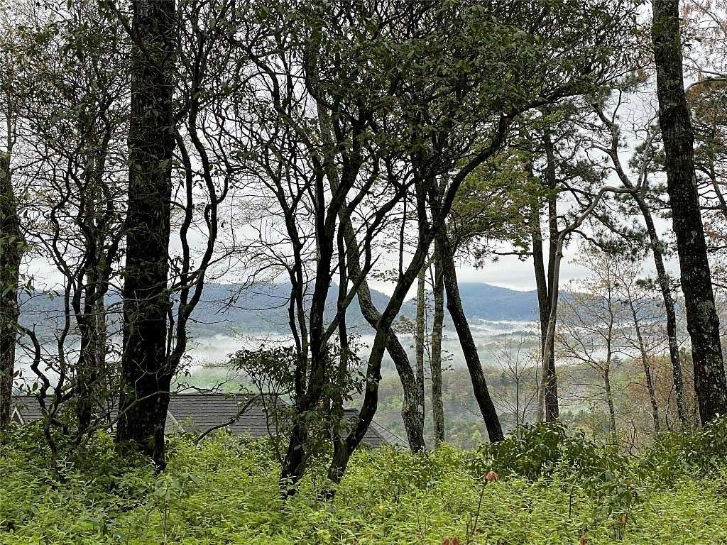 11 Acres of Land for Sale in Sapphire, North Carolina