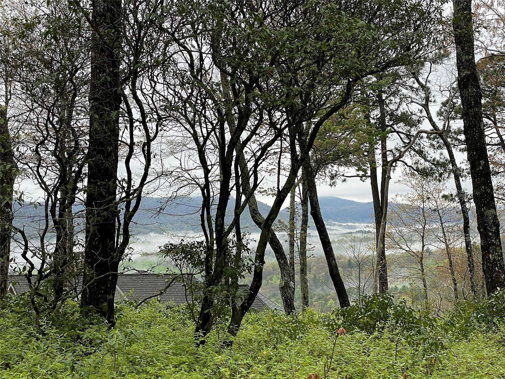 11 Acres of Land for Sale in Sapphire, North Carolina