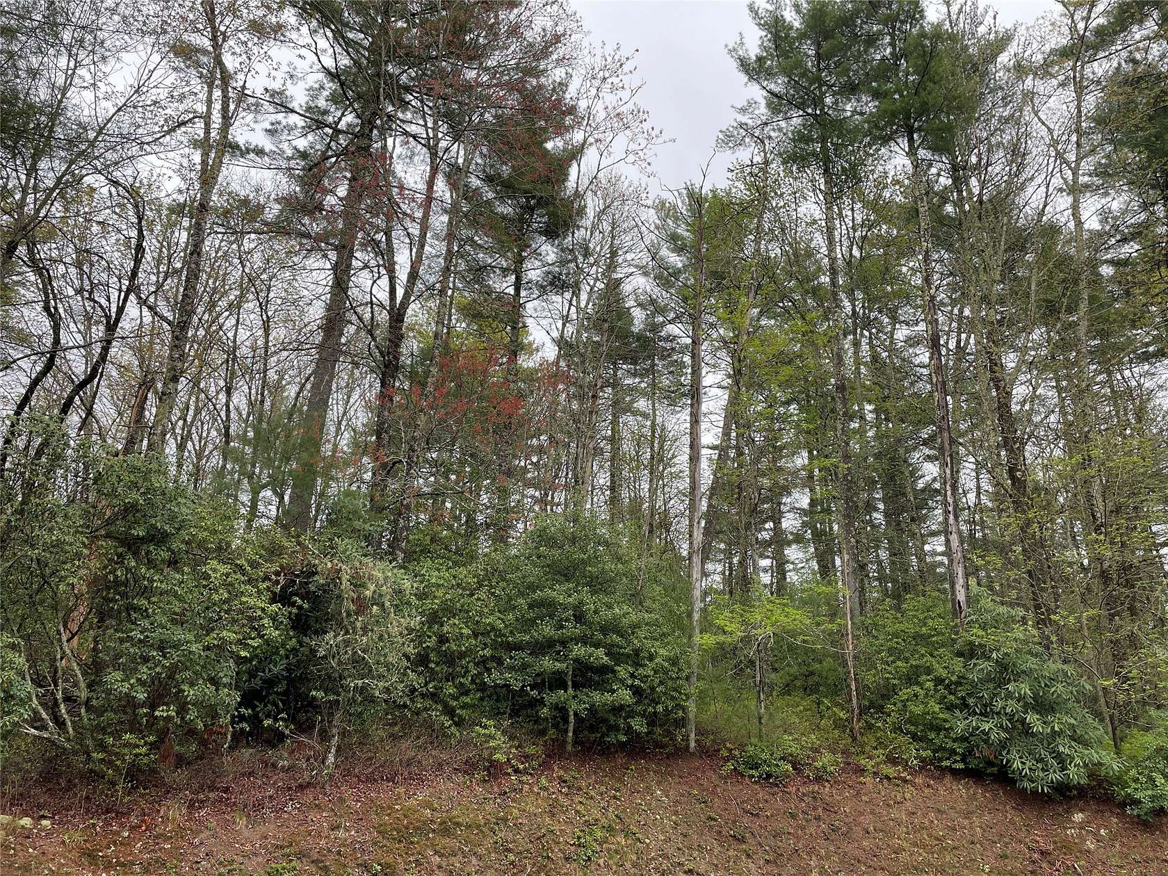 2.9 Acres of Land for Sale in Sapphire, North Carolina