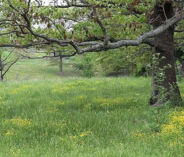 21.6 Acres of Agricultural Land for Sale in Gentry, Arkansas