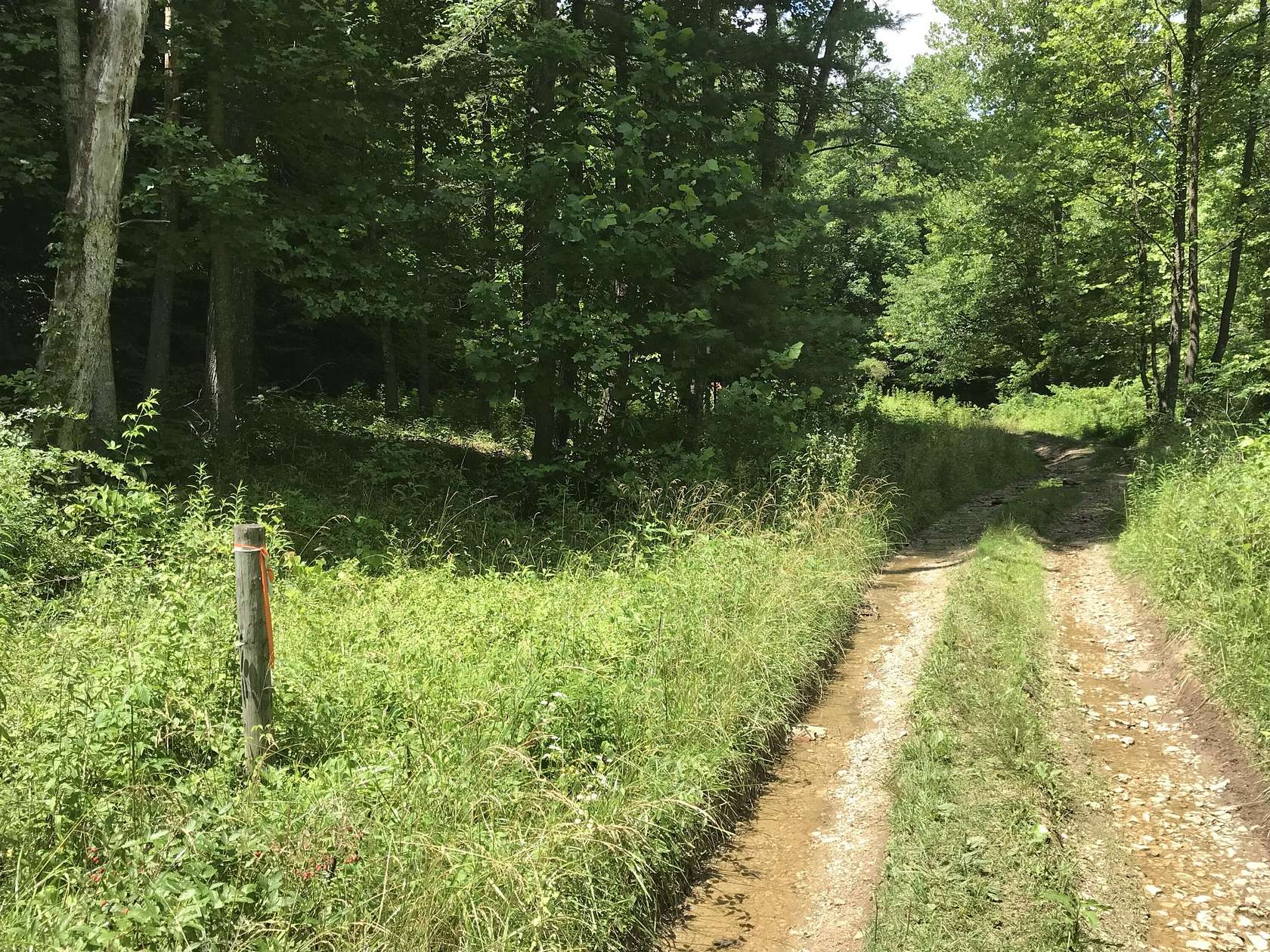 4 Acres of Land for Sale in Stanton, Kentucky
