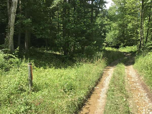 4 Acres of Land for Sale in Stanton, Kentucky