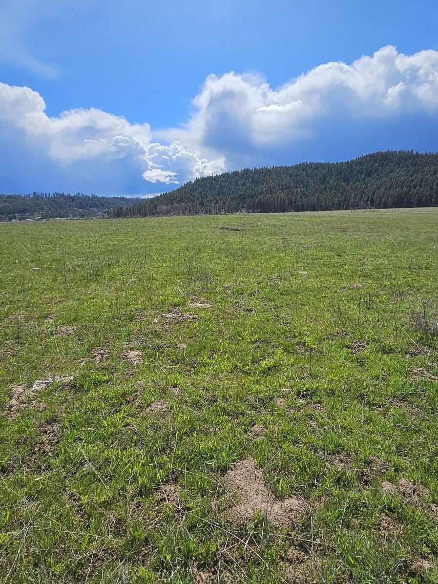 21 Acres of Recreational Land for Sale in Springdale, Washington