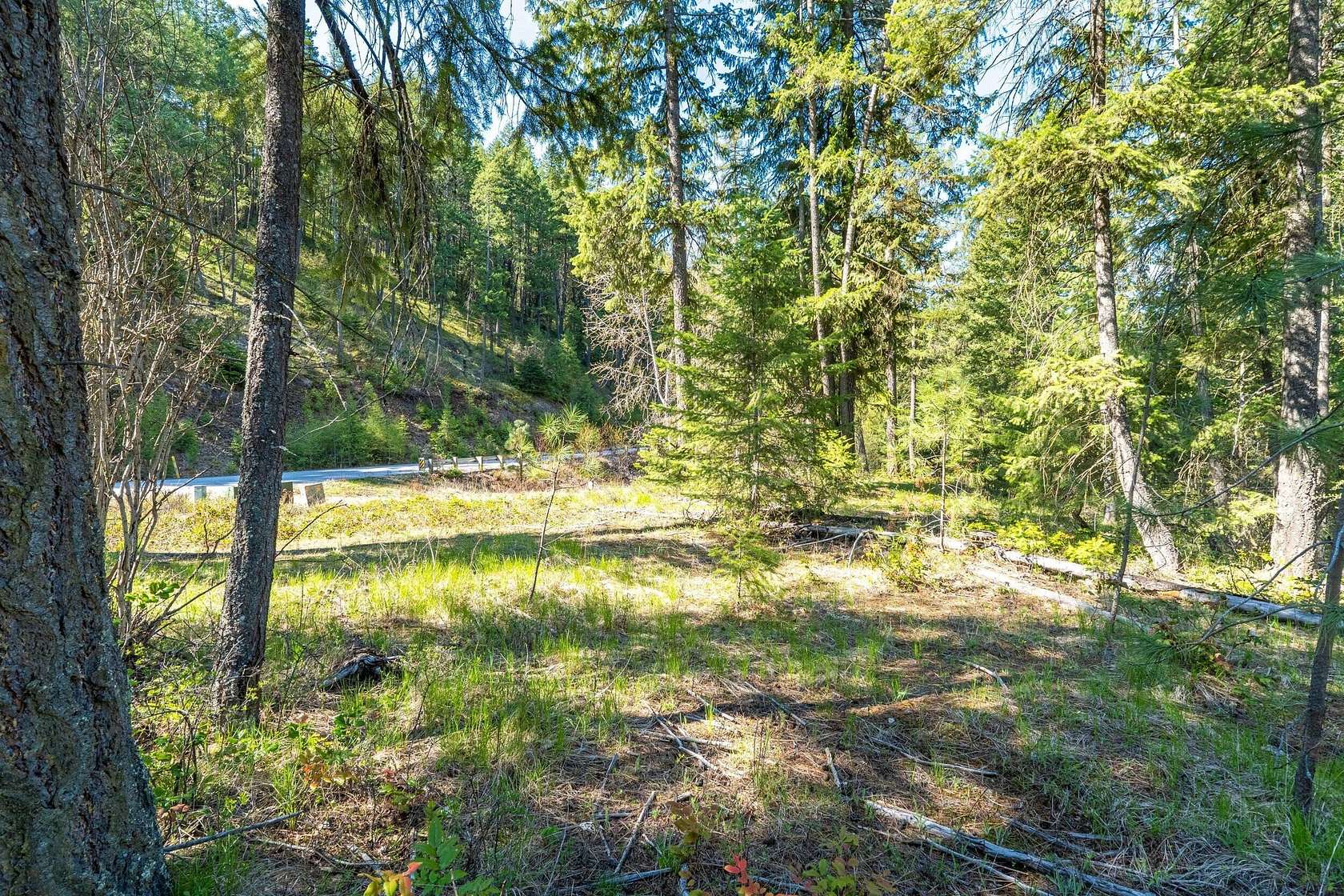 0.33 Acres of Residential Land for Sale in Chewelah, Washington